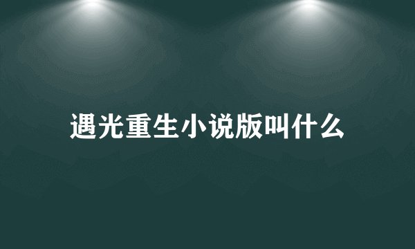 遇光重生小说版叫什么