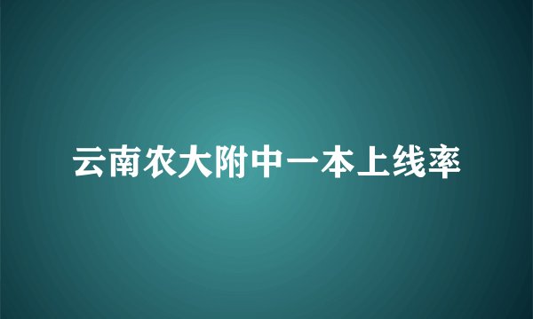 云南农大附中一本上线率