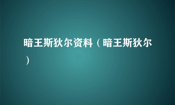 暗王斯狄尔资料（暗王斯狄尔）