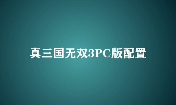 真三国无双3PC版配置