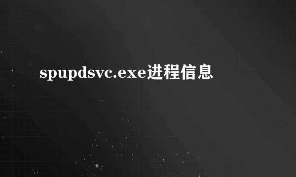 spupdsvc.exe进程信息