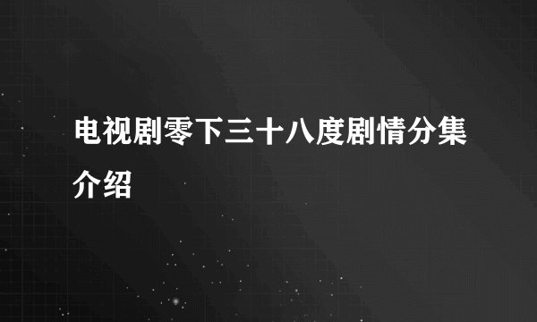 电视剧零下三十八度剧情分集介绍