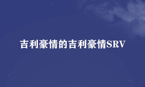 吉利豪情的吉利豪情SRV