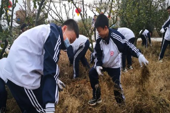 小学生劳动格言简短二年级