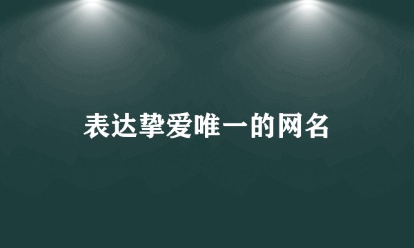 表达挚爱唯一的网名