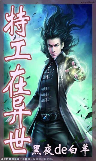 特工在异世的介绍