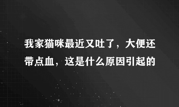 我家猫咪最近又吐了，大便还带点血，这是什么原因引起的