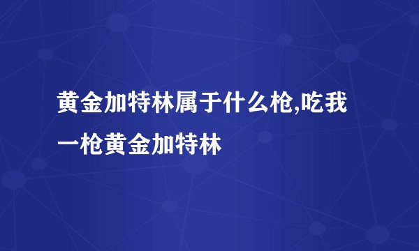 黄金加特林属于什么枪,吃我一枪黄金加特林