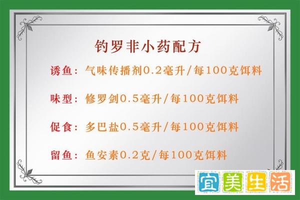 夏季钓罗非鱼的钓位、钓法和用饵技巧，夏季钓罗非鱼的秘诀