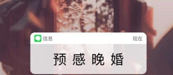 30岁人未婚率超25%,25岁人有七成未婚,年轻人的世界搞不懂