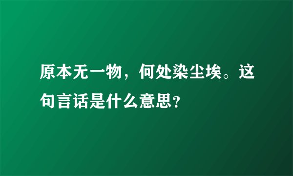 原本无一物，何处染尘埃。这句言话是什么意思？