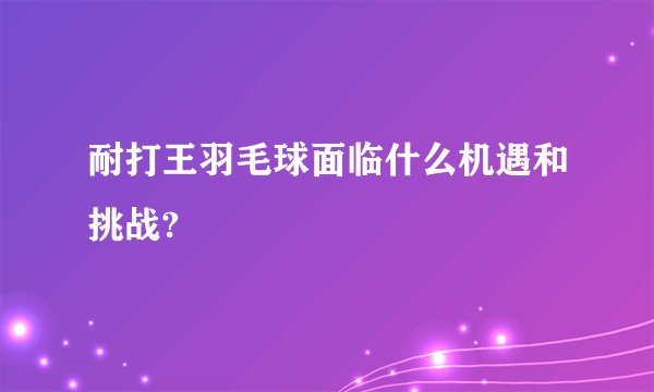 耐打王羽毛球面临什么机遇和挑战?