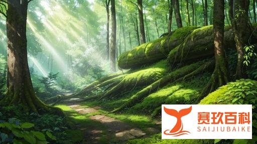用博弈论解释为什么俄罗斯表态任何谈判都不可能