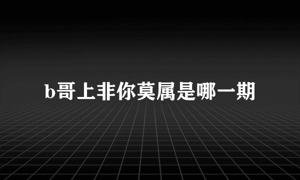 b哥上非你莫属是哪一期