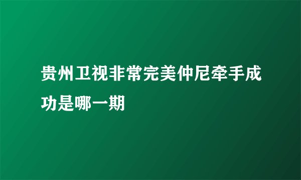 贵州卫视非常完美仲尼牵手成功是哪一期