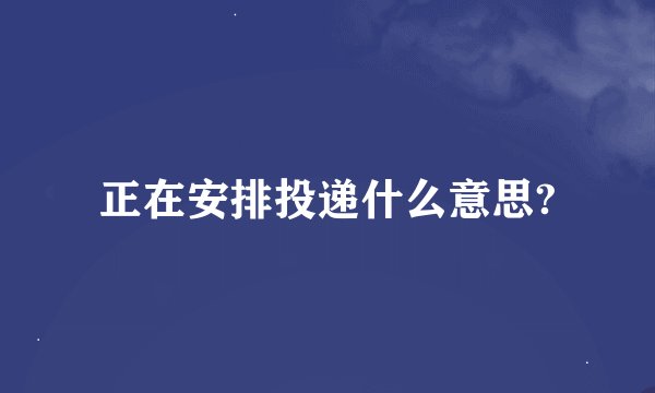 正在安排投递什么意思?