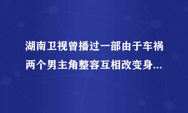 湖南卫视曾播过一部由于车祸两个男主角整容互相改变身份的剧是什么名字