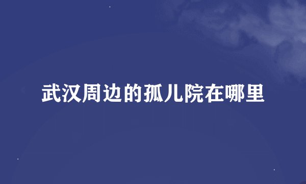 武汉周边的孤儿院在哪里