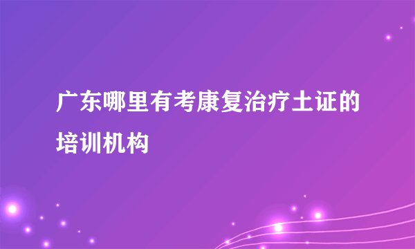 广东哪里有考康复治疗土证的培训机构