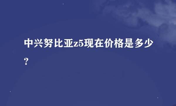 中兴努比亚z5现在价格是多少？