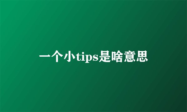一个小tips是啥意思