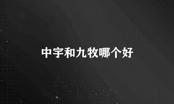 中宇和九牧哪个好