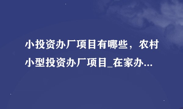 小投资办厂项目有哪些，农村小型投资办厂项目_在家办厂小型加工项目
