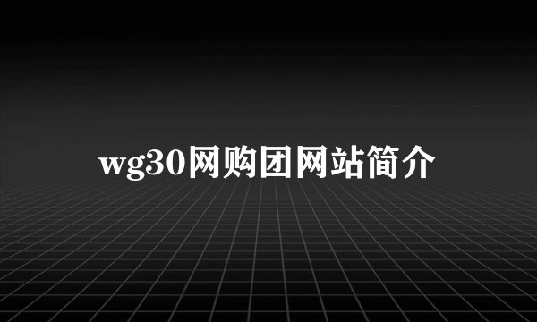 wg30网购团网站简介