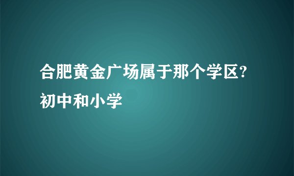 合肥黄金广场属于那个学区?初中和小学
