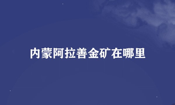 内蒙阿拉善金矿在哪里