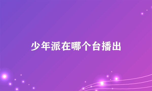 少年派在哪个台播出