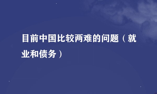 目前中国比较两难的问题（就业和债务）