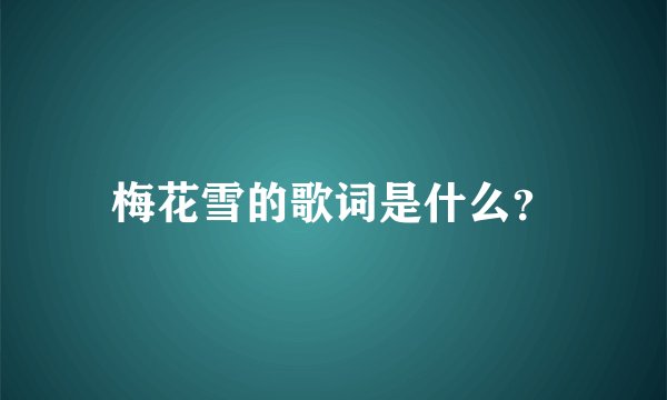 梅花雪的歌词是什么？