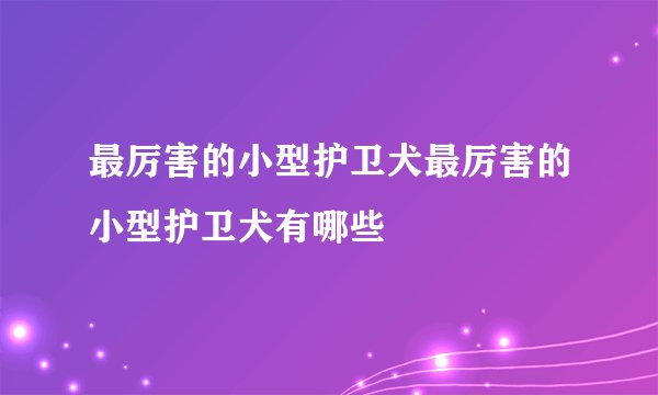最厉害的小型护卫犬最厉害的小型护卫犬有哪些