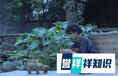 火遍全球、央视点赞、年入五千万的李子柒：我的福报来自这一点！
