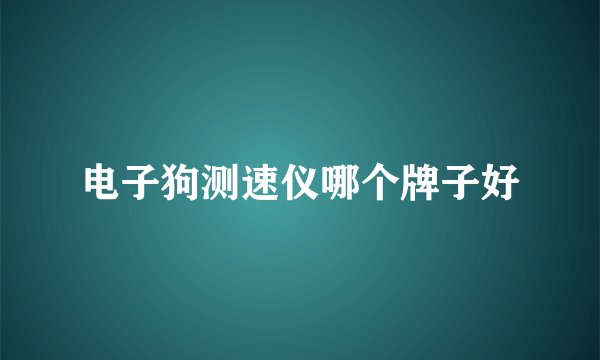 电子狗测速仪哪个牌子好