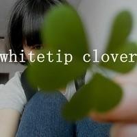 qq情侣皮肤、个性签名、网名、分组还有头像，谢谢啦~~~~~