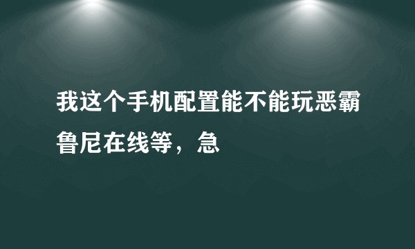 我这个手机配置能不能玩恶霸鲁尼在线等，急