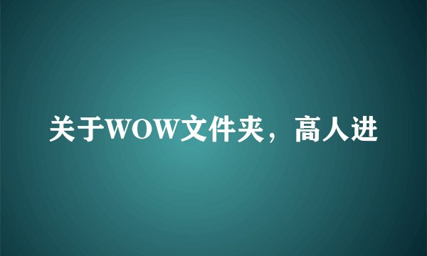 关于WOW文件夹，高人进
