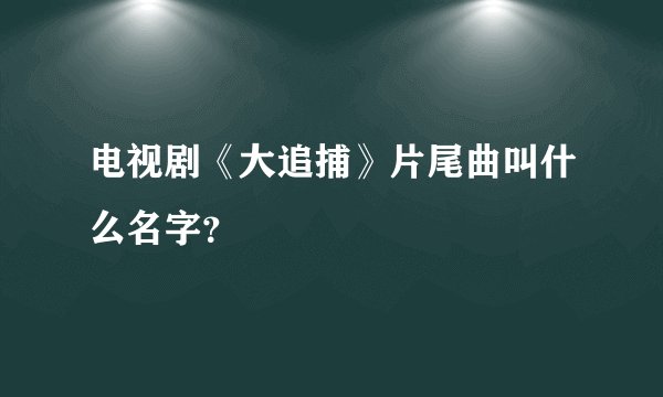 电视剧《大追捕》片尾曲叫什么名字?