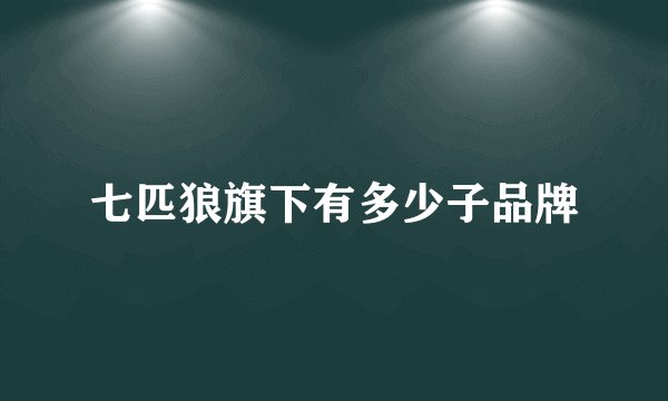 七匹狼旗下有多少子品牌