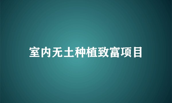 室内无土种植致富项目