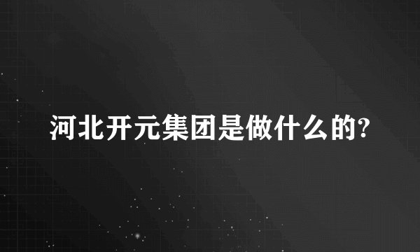 河北开元集团是做什么的?