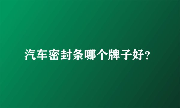 汽车密封条哪个牌子好？