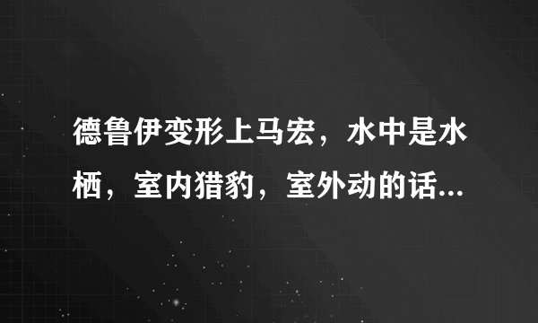 德鲁伊变形上马宏，水中是水栖，室内猎豹，室外动的话能鸟就鸟，不能鸟旅行。不动的话是坐骑。有吗？