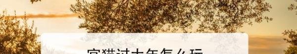 宫猫过大年怎么玩