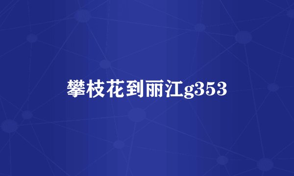 攀枝花到丽江g353