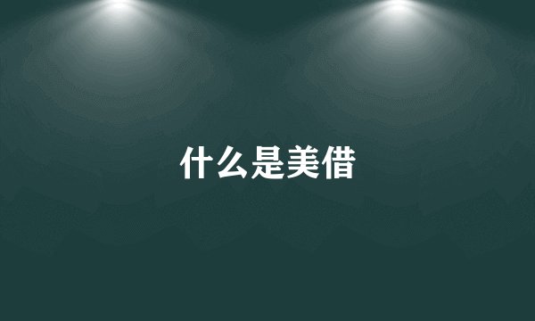 什么是美借