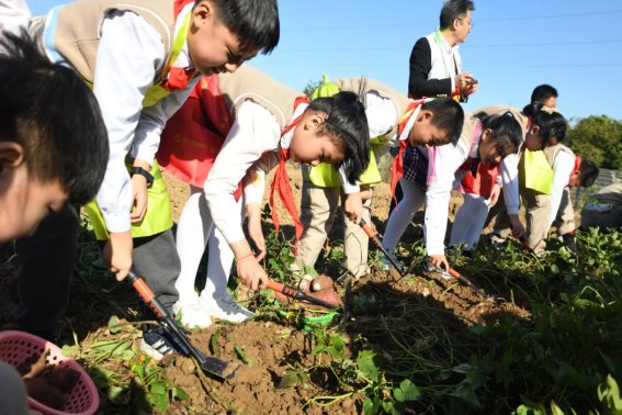 小学生劳动格言简短二年级