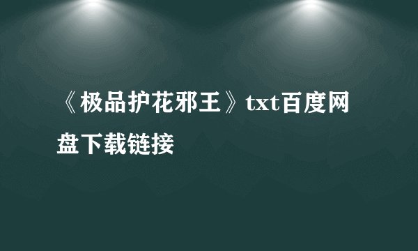 《极品护花邪王》txt百度网盘下载链接